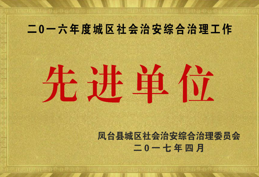 二0一六年度城区社会治安综合治理工作先进单位