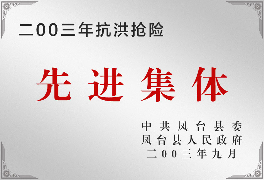 2003年搞洪抢险先进集体