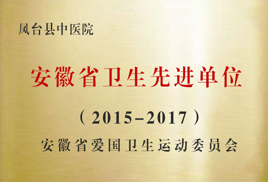 2015-2017安徽省卫生先进单位
